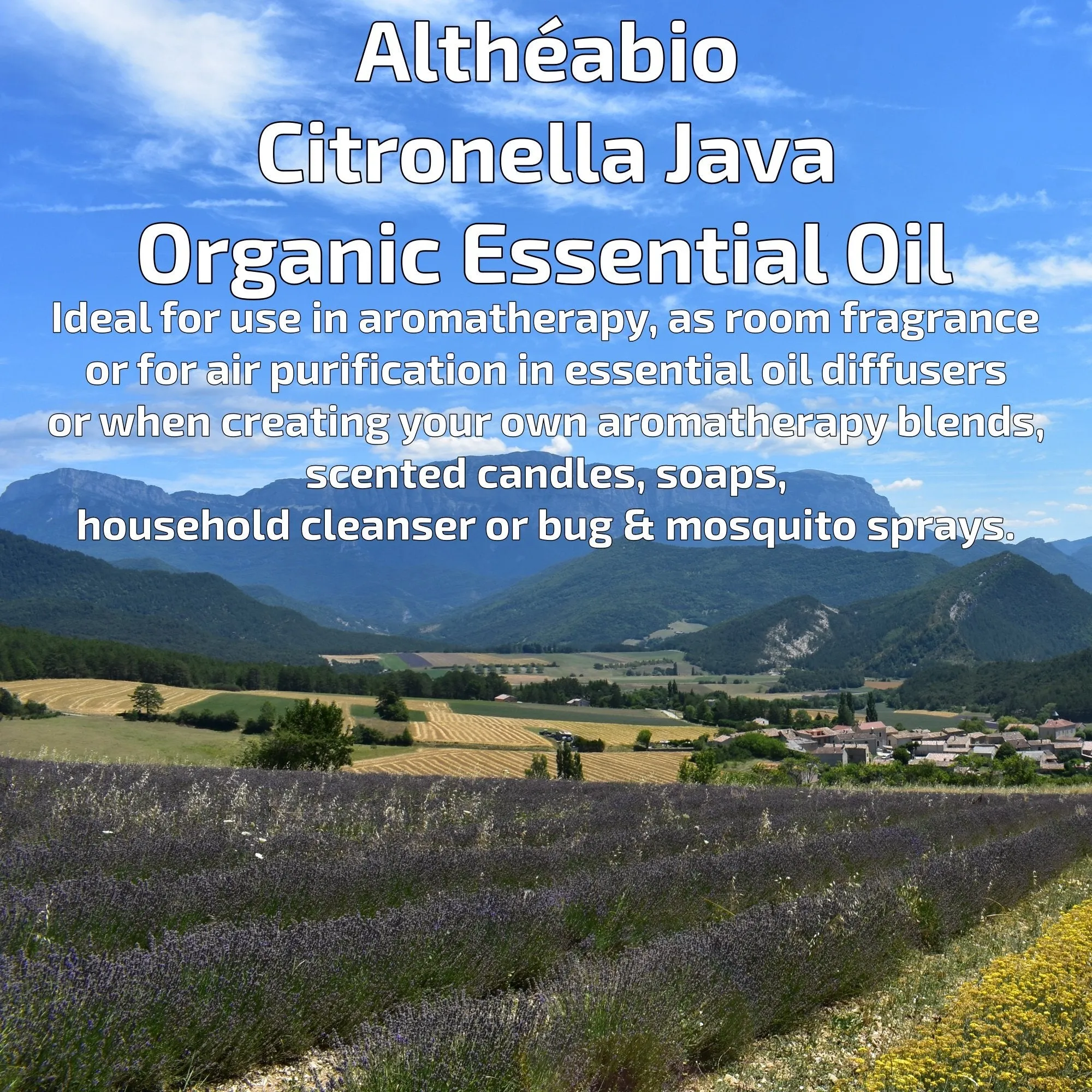 Altheabio Organic Citronella Java Organic Essential Oil | 10 ml | For Aromatherapy or when creating Soaps, Household Cleansers, Bug & Mosquito Sprays…