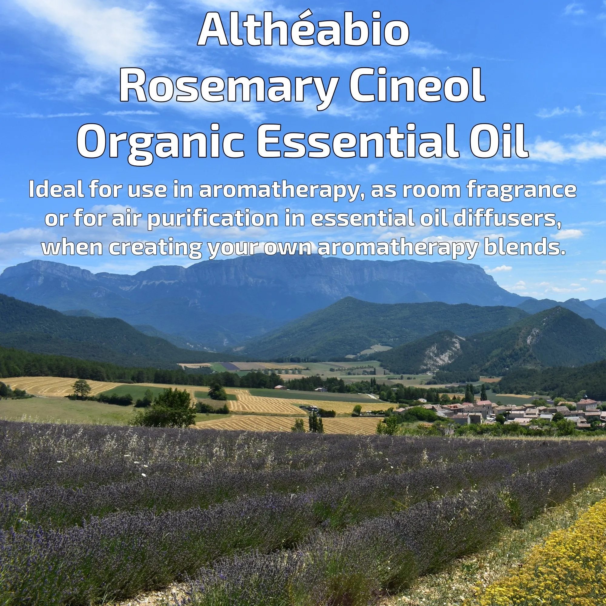 Altheabio Organic Rosemary Cineol Organic Essential Oil | 10 ml | For Aromatherapy or as Room Fragrance in Essential Oil Diffuser