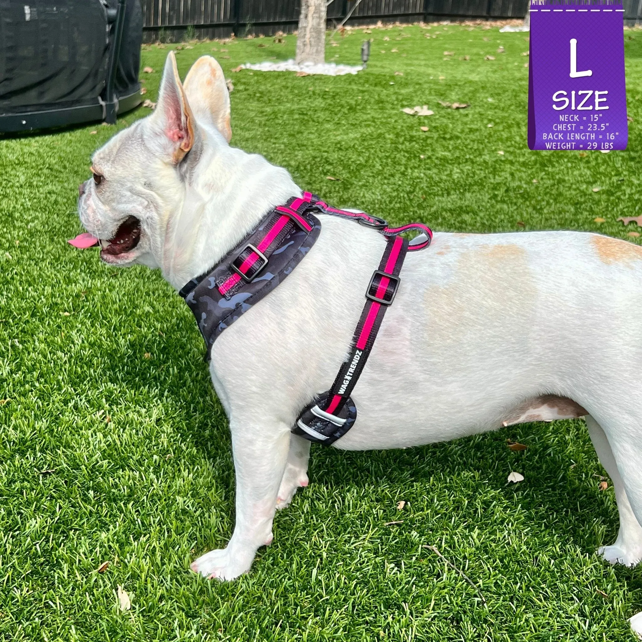 Dog Harness and Leash Set | Camo Chic (SHēk) Pink