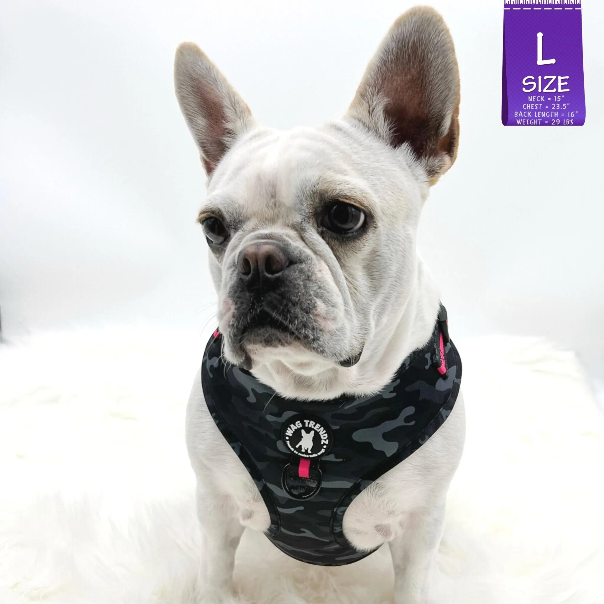 Dog Harness and Leash Set | Camo Chic (SHēk) Pink