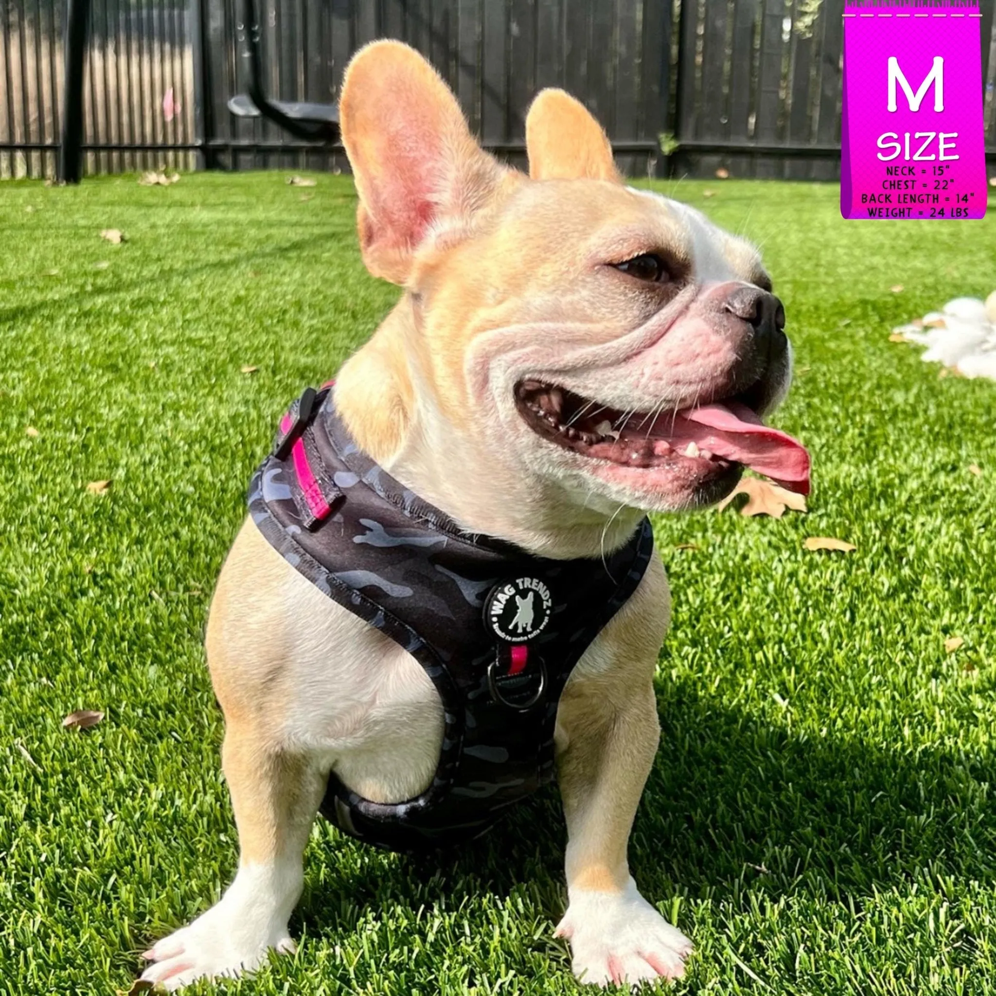 Dog Harness and Leash Set | Camo Chic (SHēk) Pink