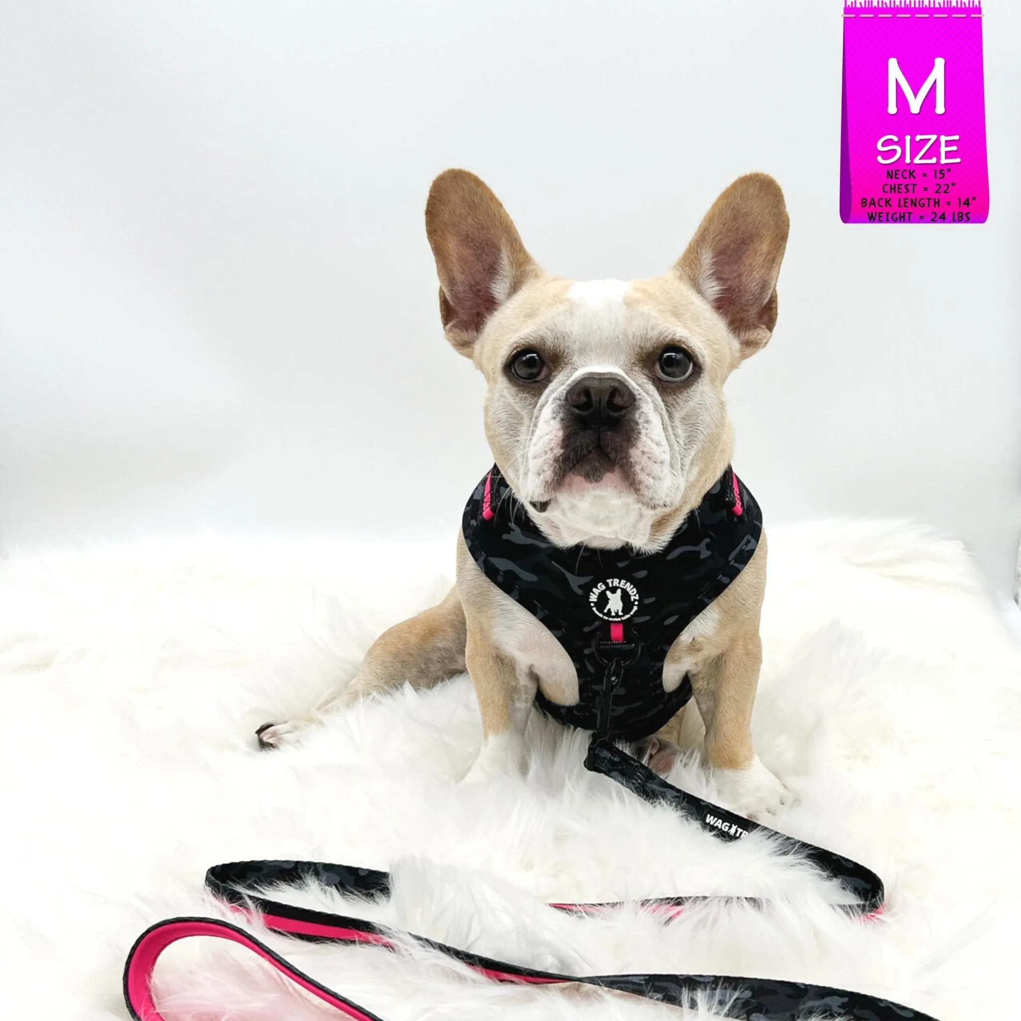Dog Harness and Leash Set | Camo Chic (SHēk) Pink