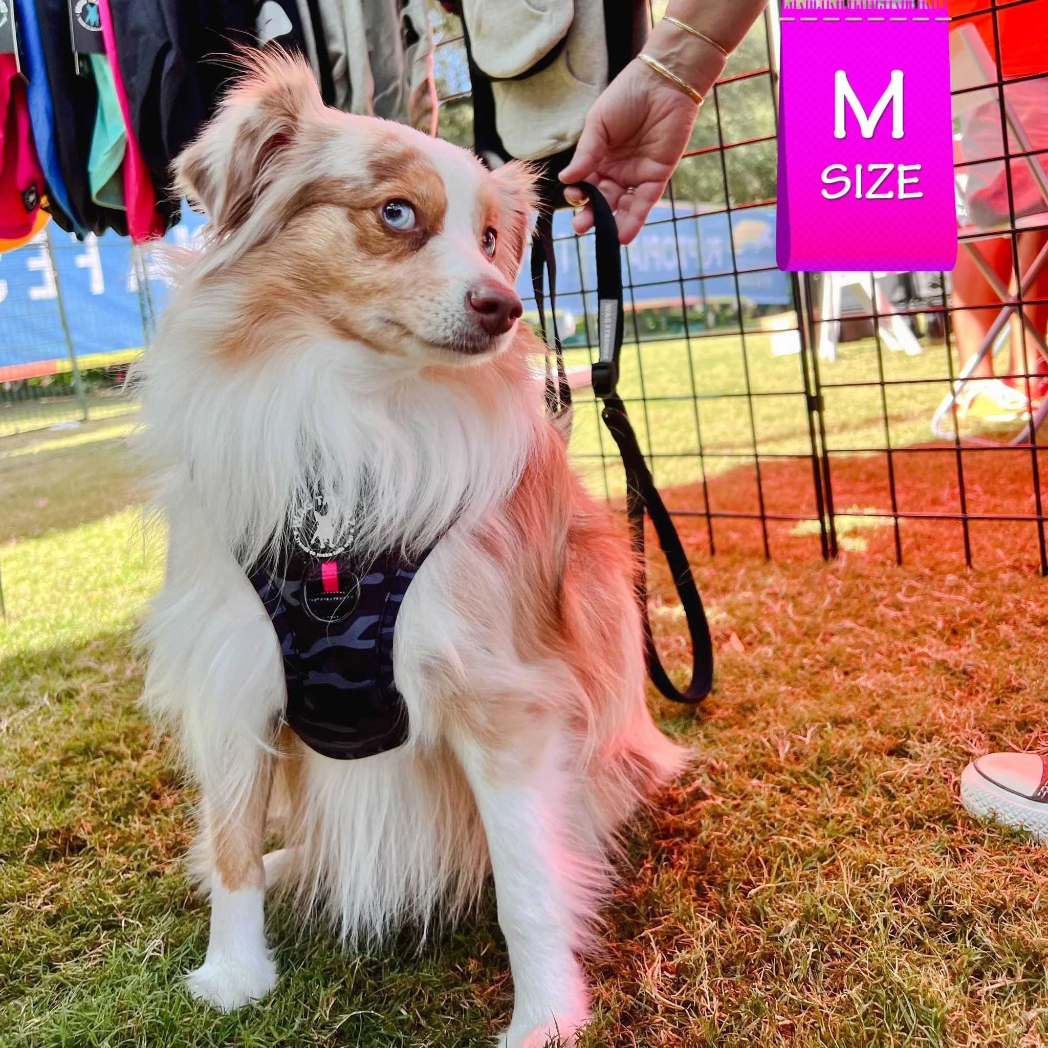 Dog Harness and Leash Set | Camo Chic (SHēk) Pink