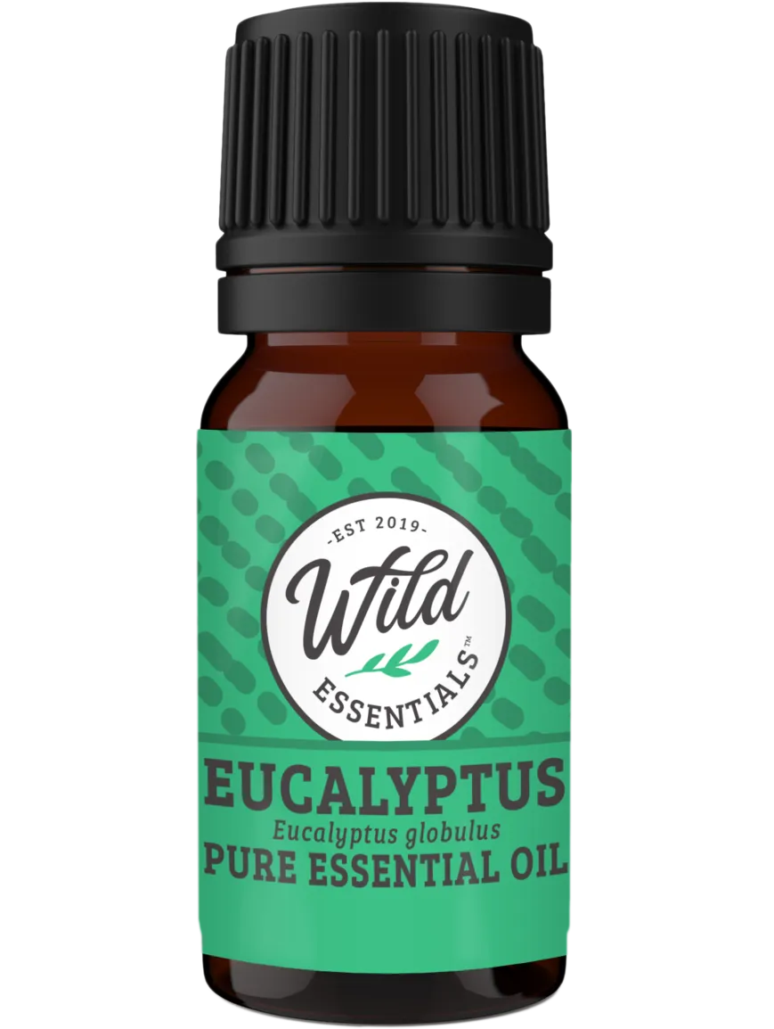 Essential Oils (Single Note) EUCALYPTUS
