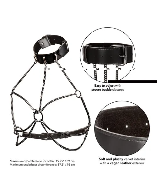 Euphoria Collection Multi Chain Collar Harness