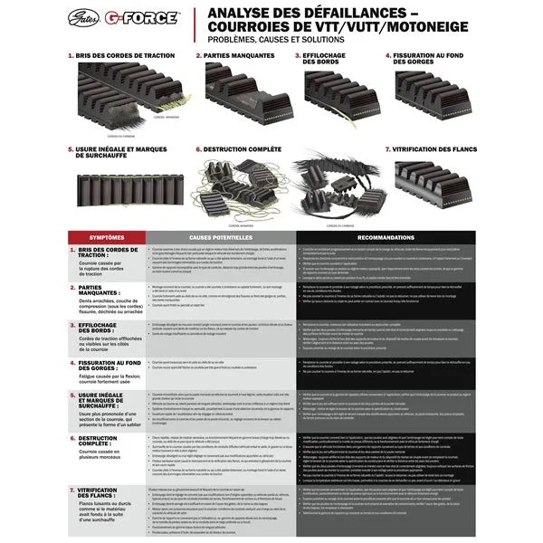 G-Force CVT Drive Belt 210229