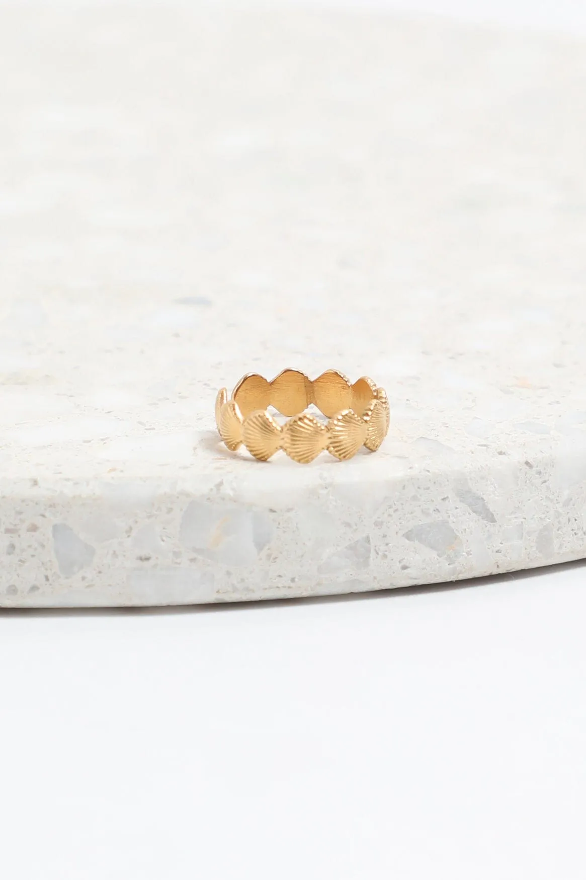 Gold Shell Rings