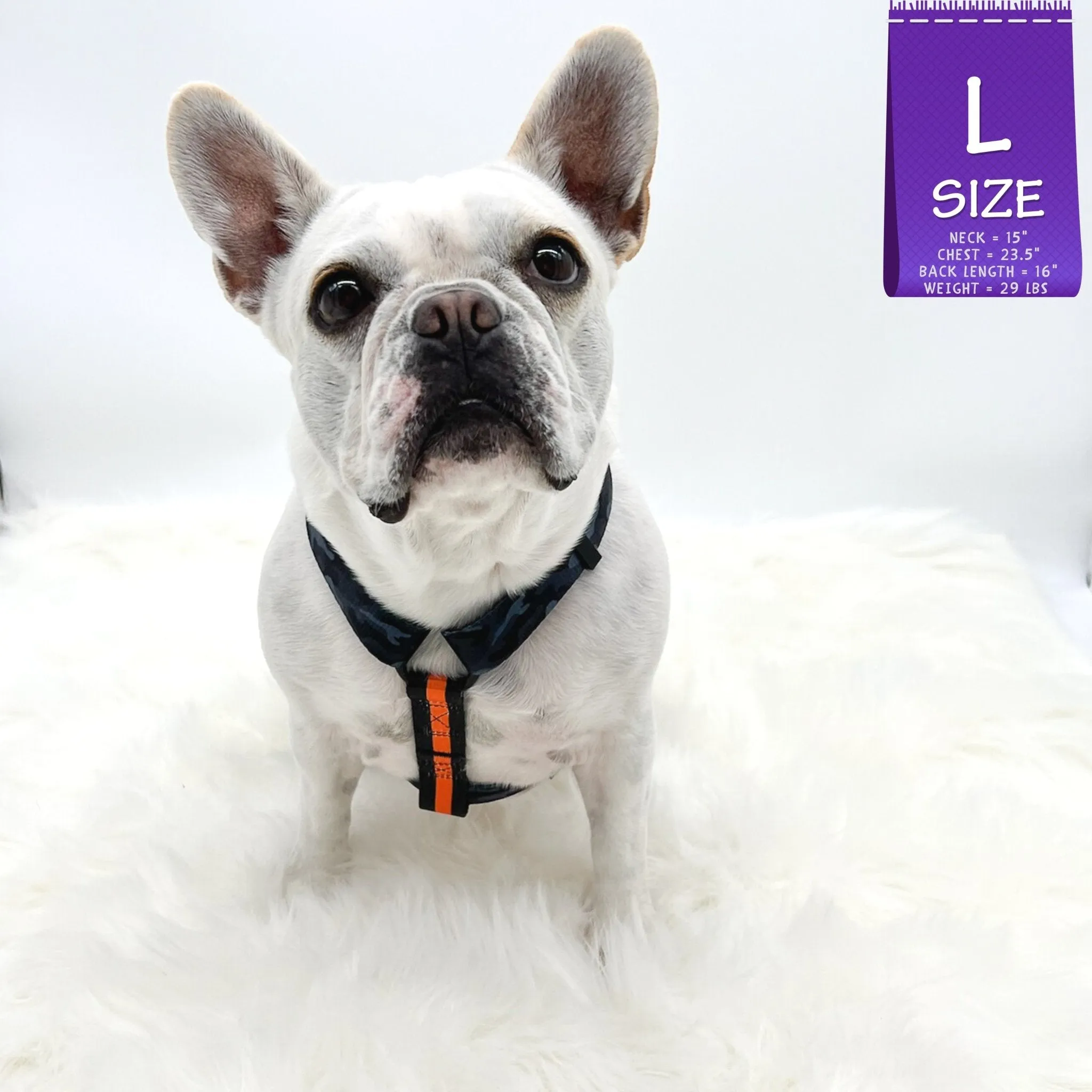 H Dog Harness | Orange Camo Chic (SHēk)