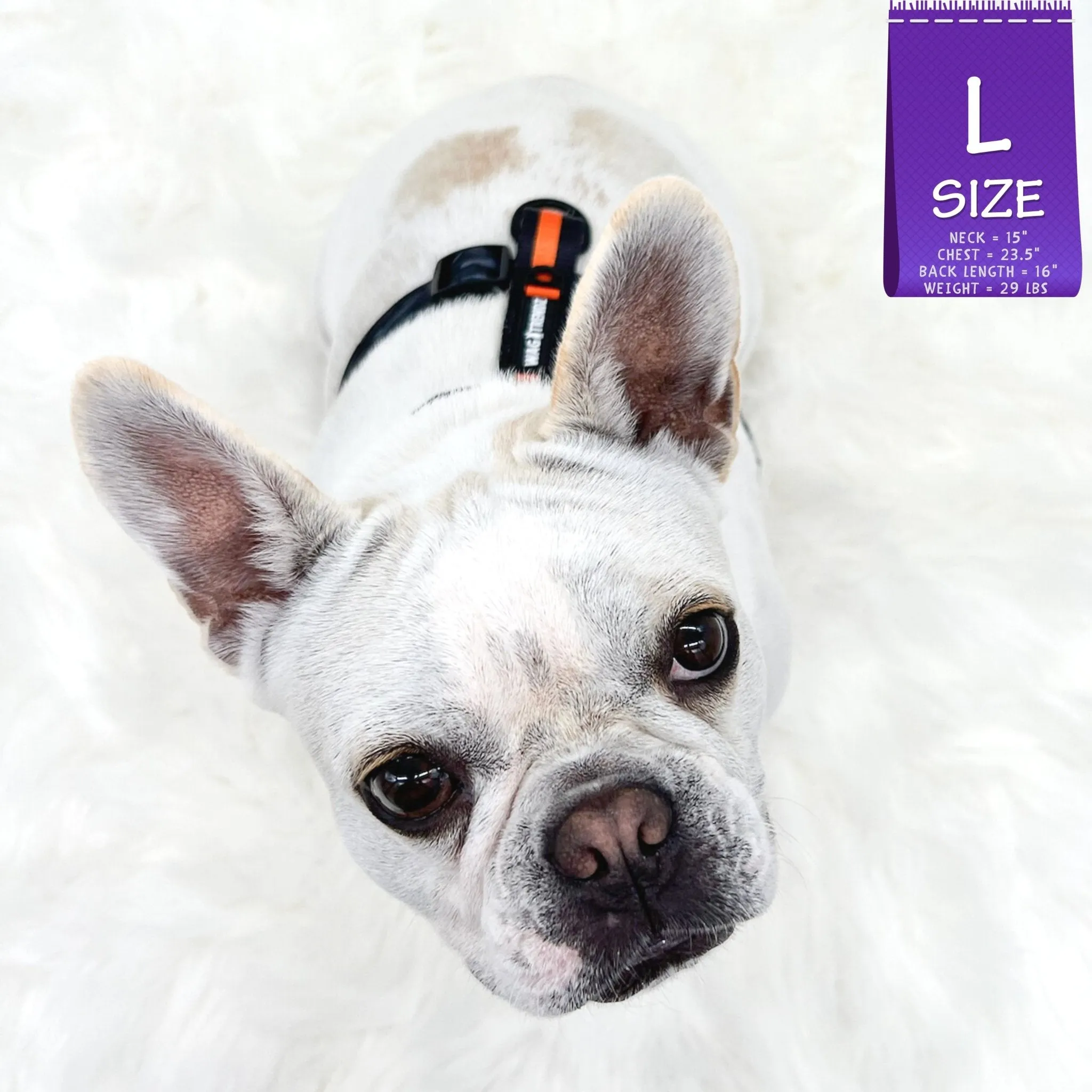 H Dog Harness | Orange Camo Chic (SHēk)