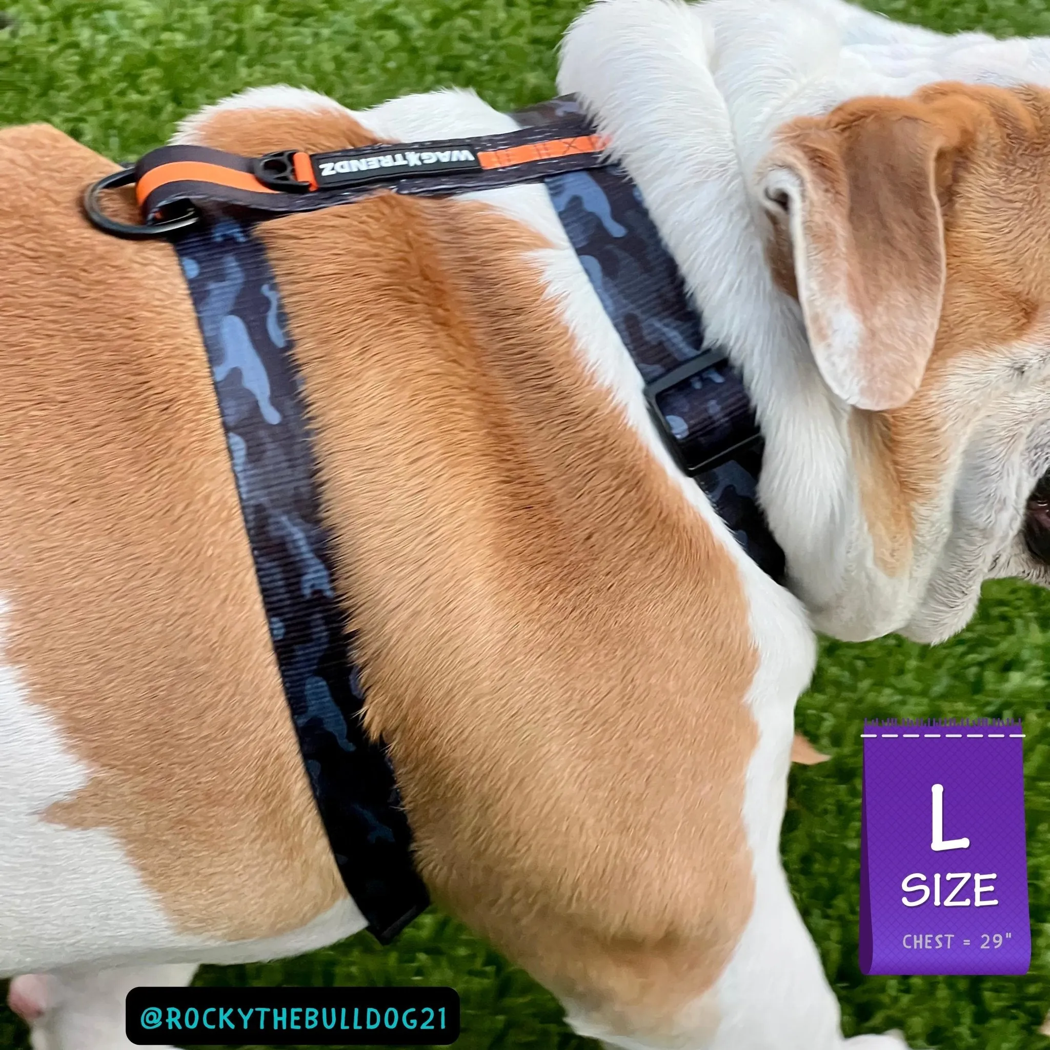 H Dog Harness | Orange Camo Chic (SHēk)