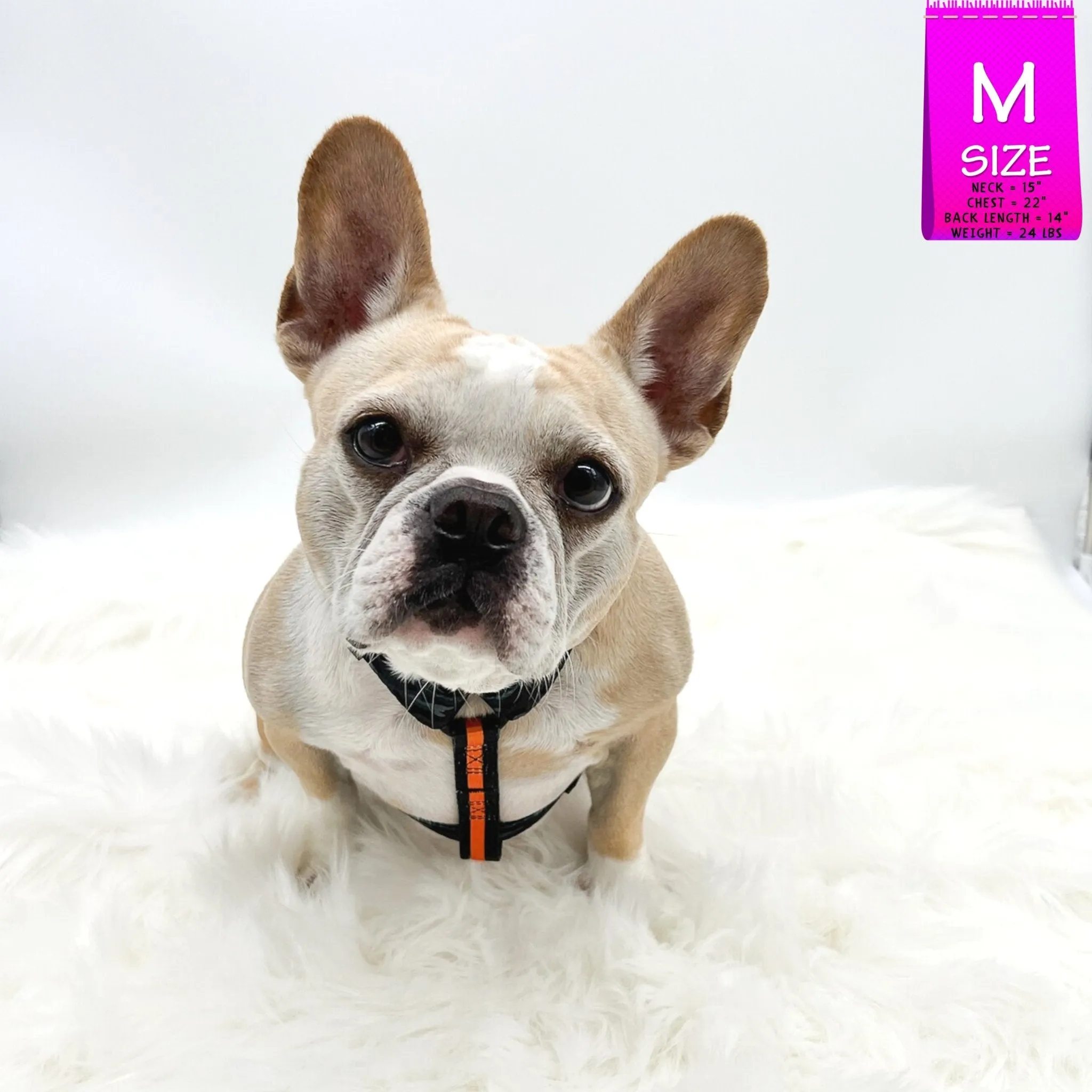 H Dog Harness | Orange Camo Chic (SHēk)