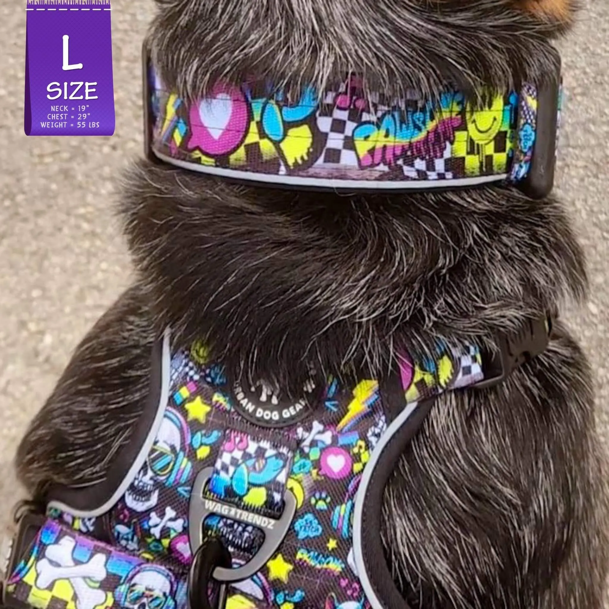 No Pull Dog Harness With Handle | Skull Society