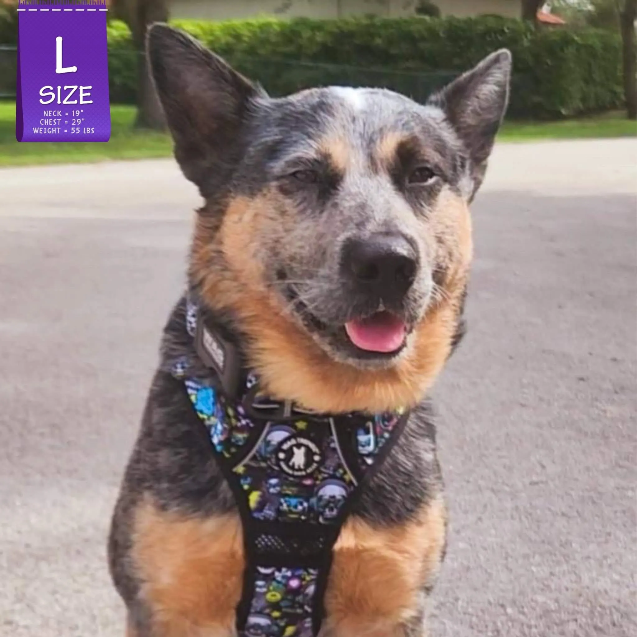 No Pull Dog Harness With Handle | Skull Society