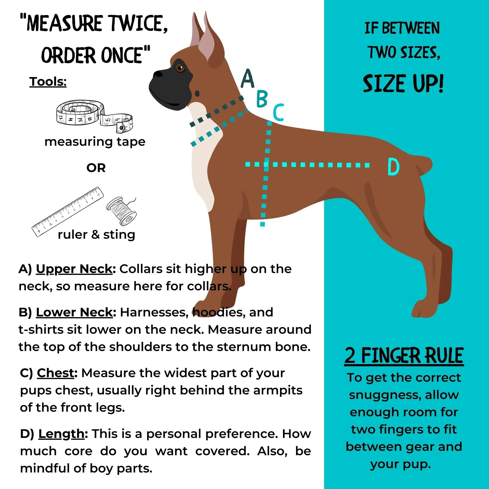 No Pull Dog Harness With Handle | Skull Society