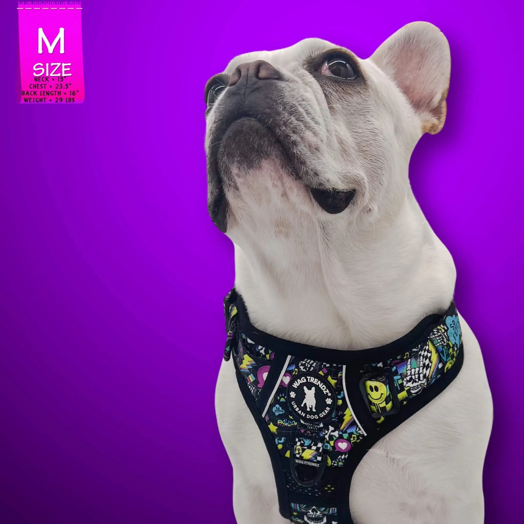 No Pull Dog Harness With Handle | Skull Society