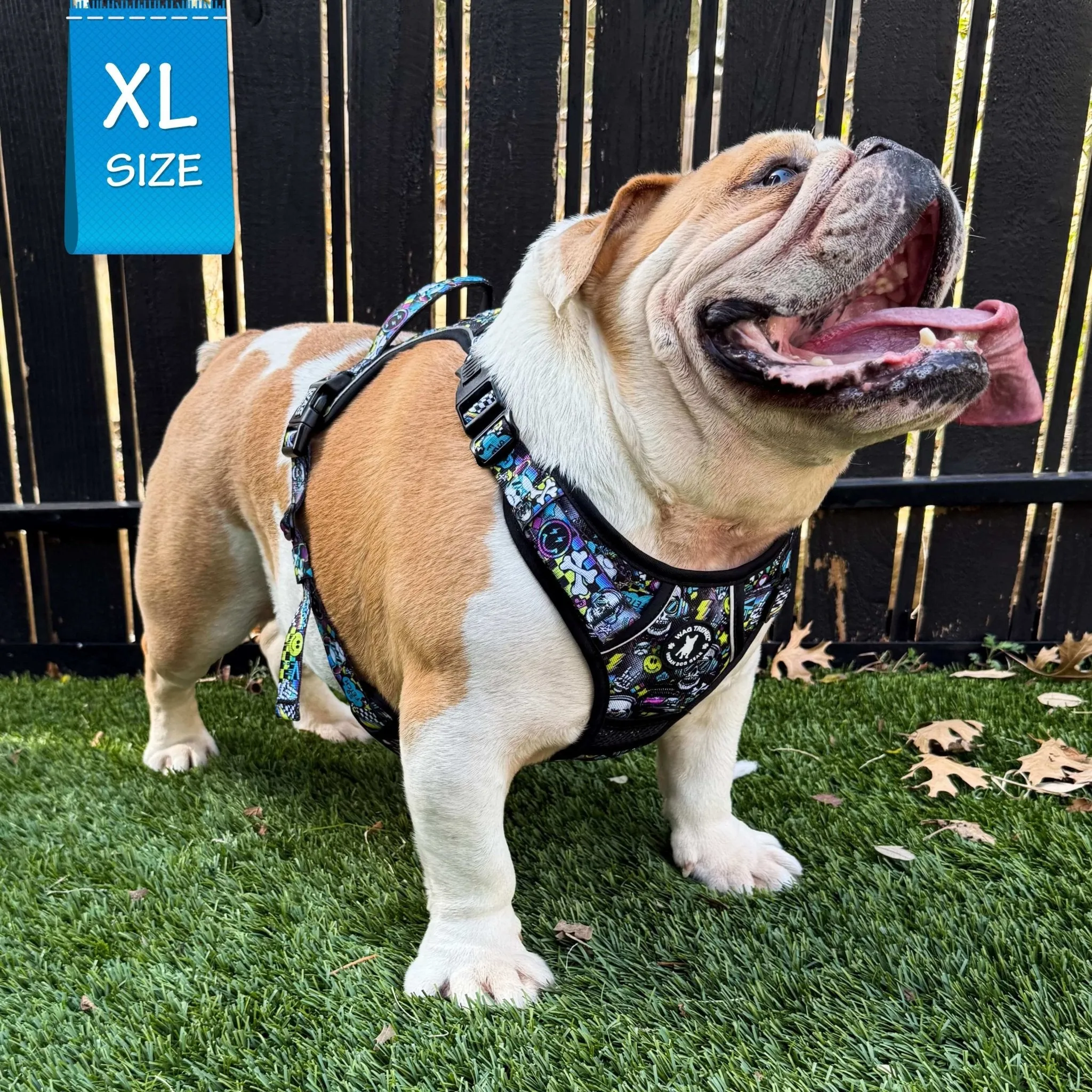 No Pull Dog Harness With Handle | Skull Society