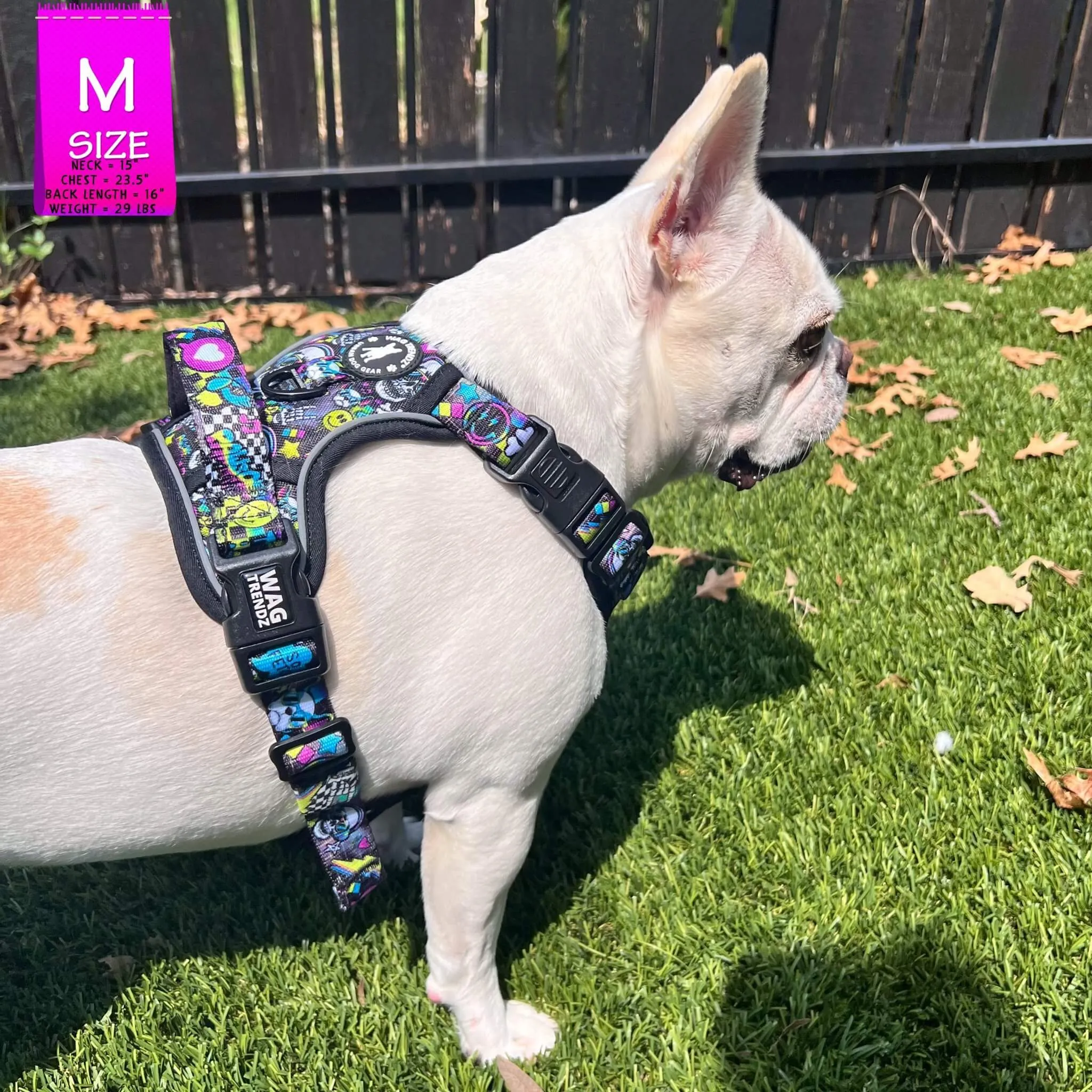 No Pull Dog Harness With Handle | Skull Society