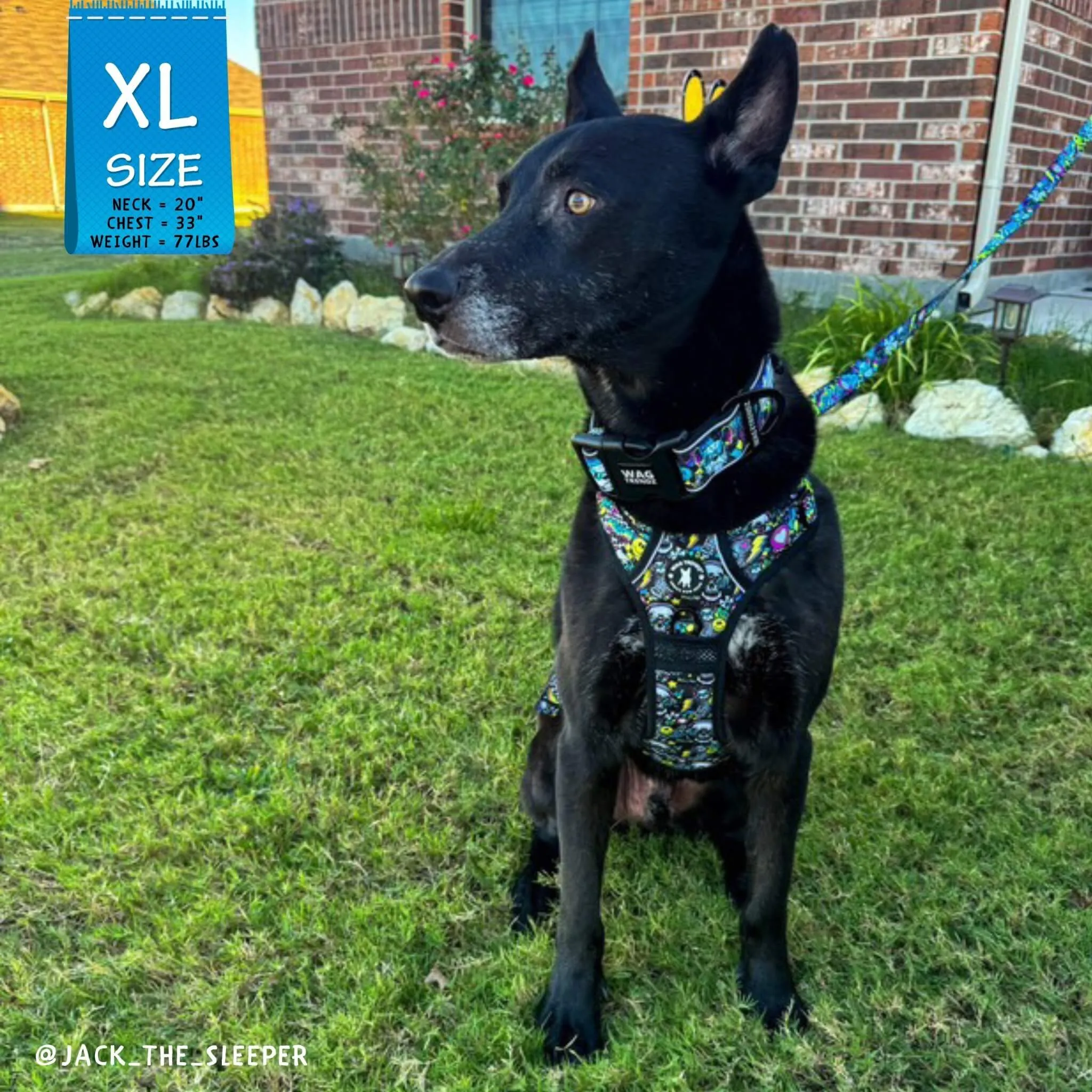 No Pull Dog Harness With Handle | Skull Society
