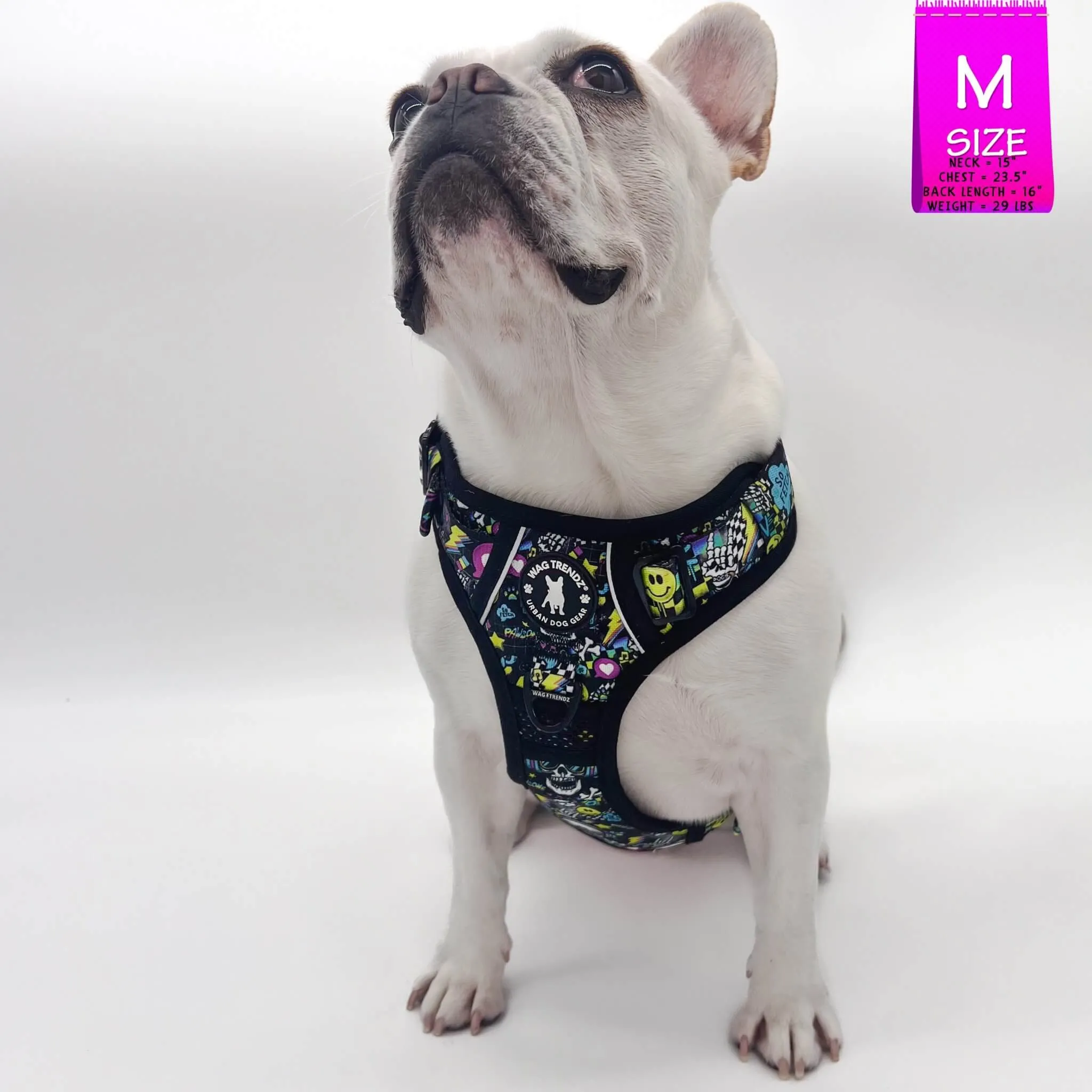 No Pull Dog Harness With Handle | Skull Society