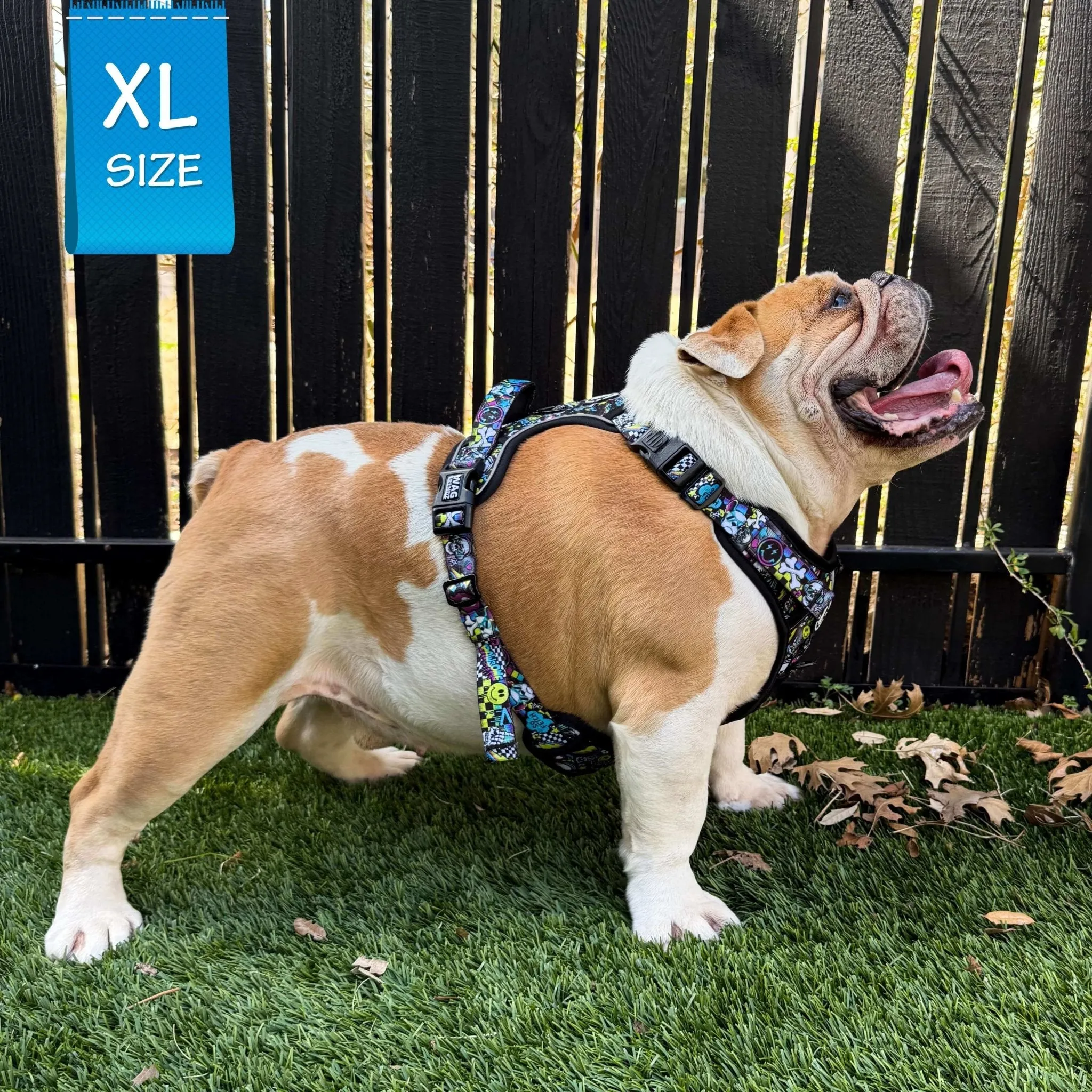 No Pull Dog Harness With Handle | Skull Society