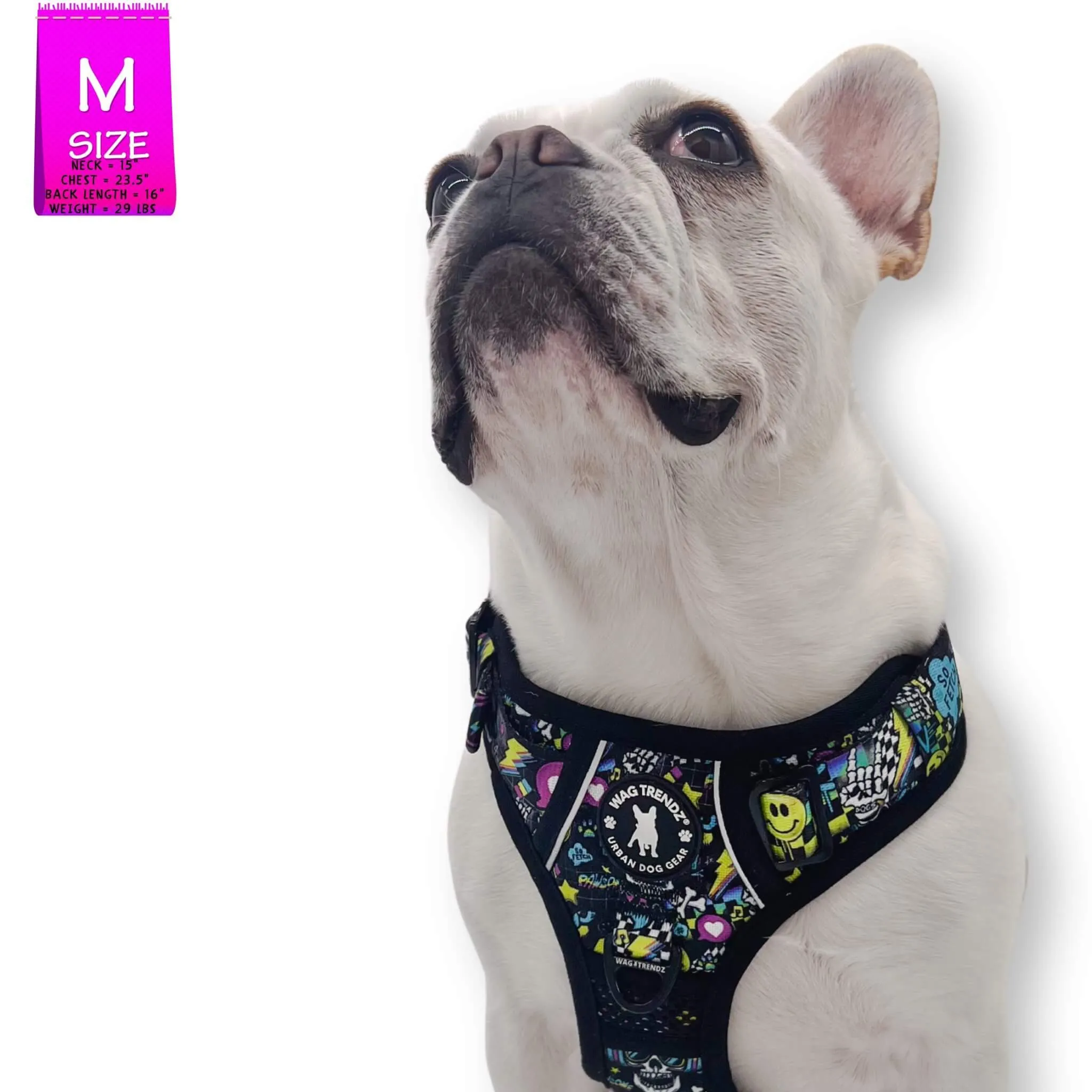 No Pull Dog Harness With Handle | Skull Society