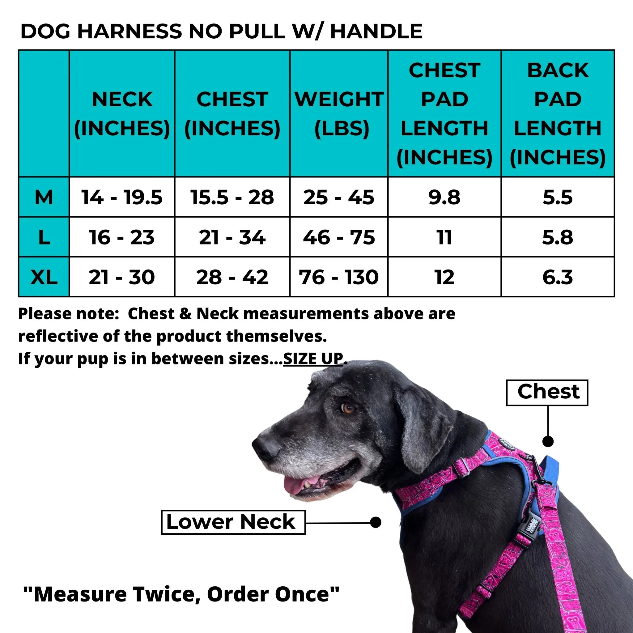 No Pull Dog Harness With Handle | Skull Society