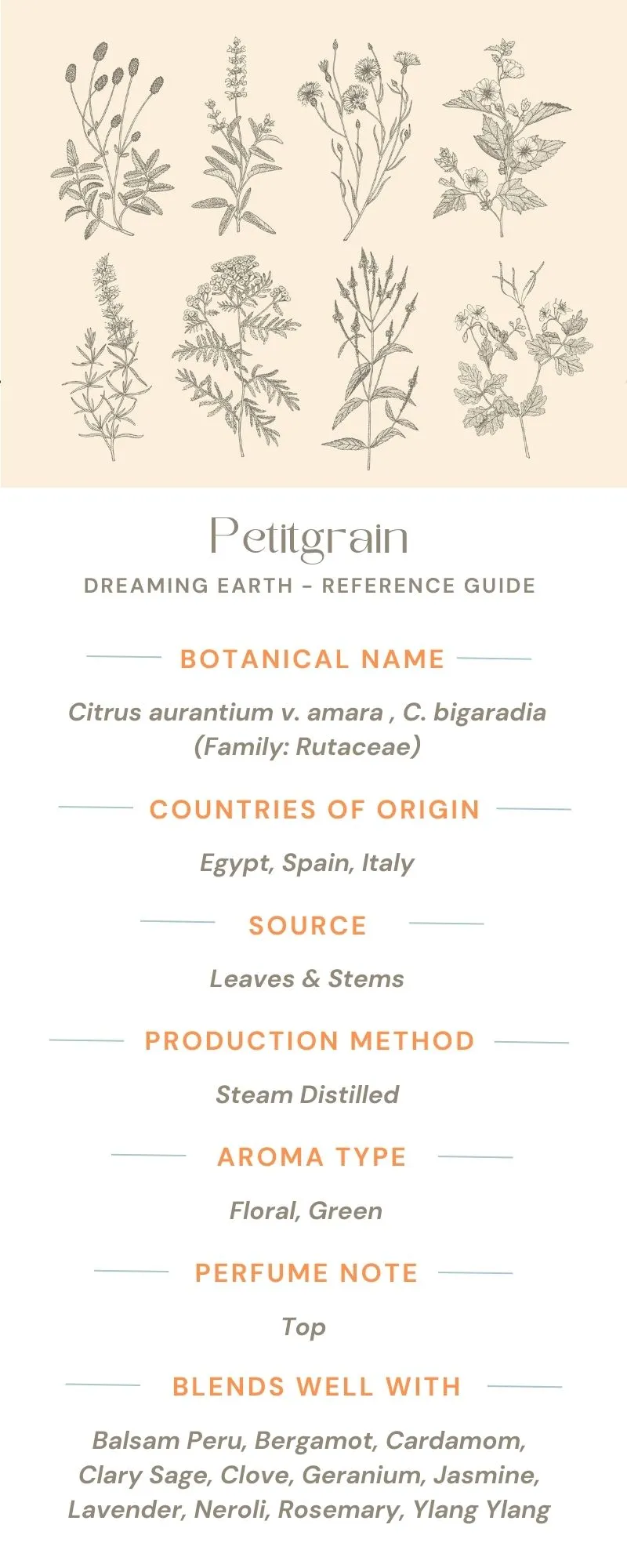Petitgrain Organic Essential Oil