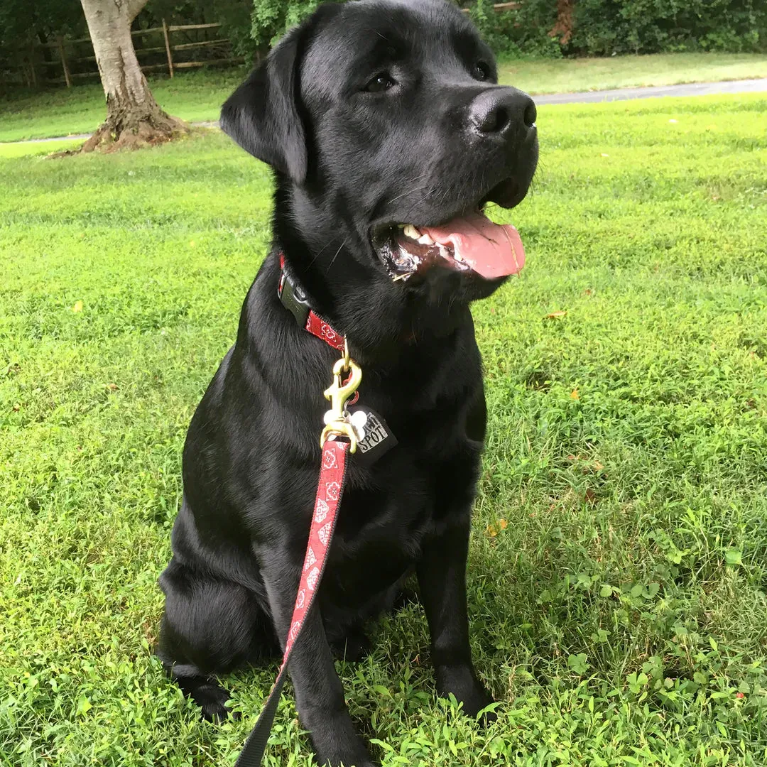 Red Bandana Dog Collar