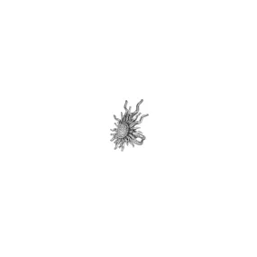 Ring “Arev”