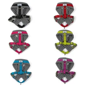 Viva Padded Harness