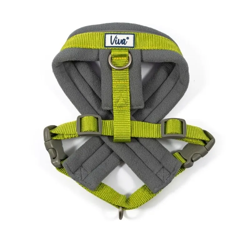 Viva Padded Harness