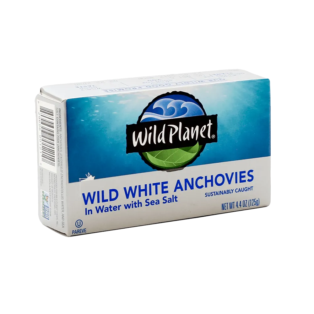 Wild White Anchovies In Water