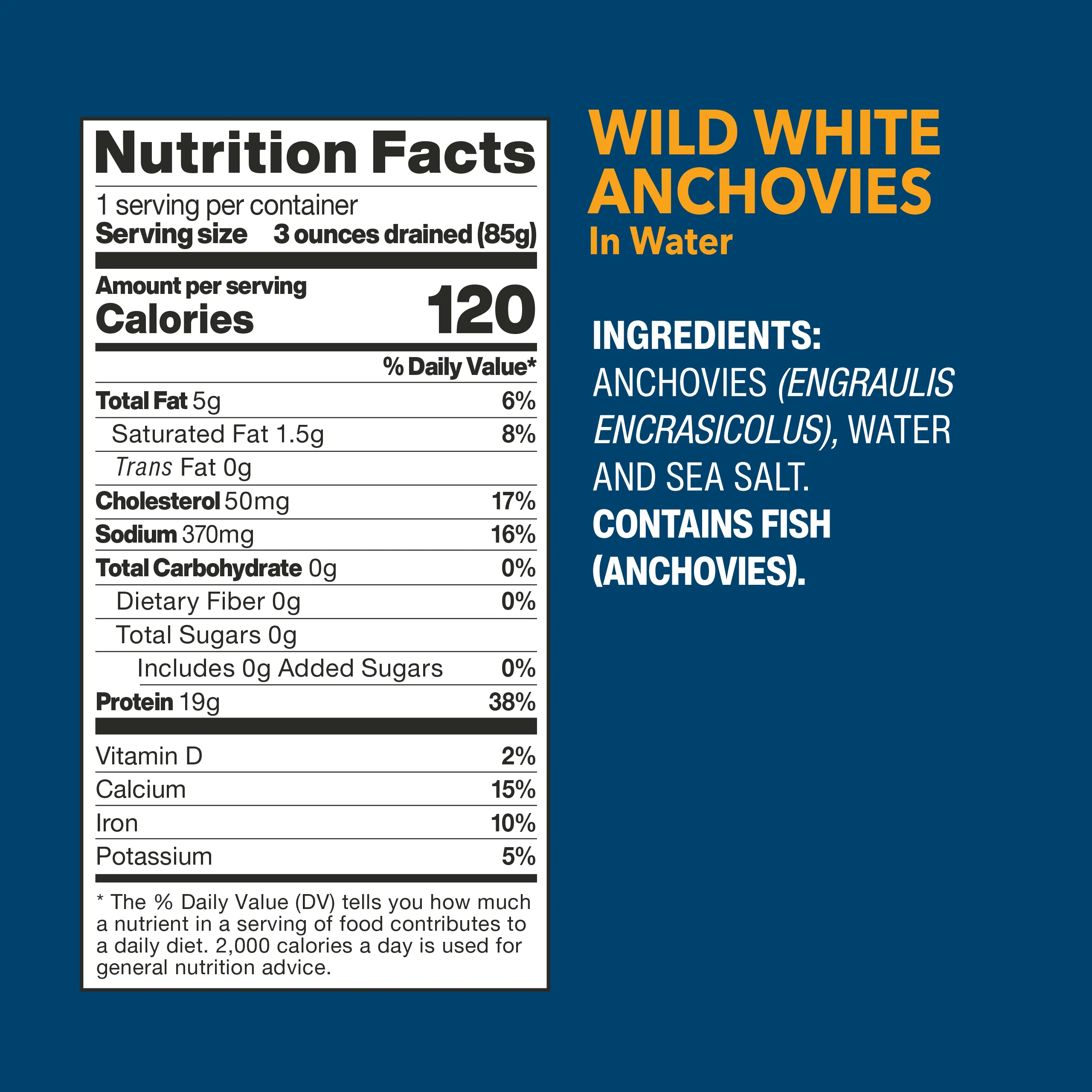 Wild White Anchovies In Water