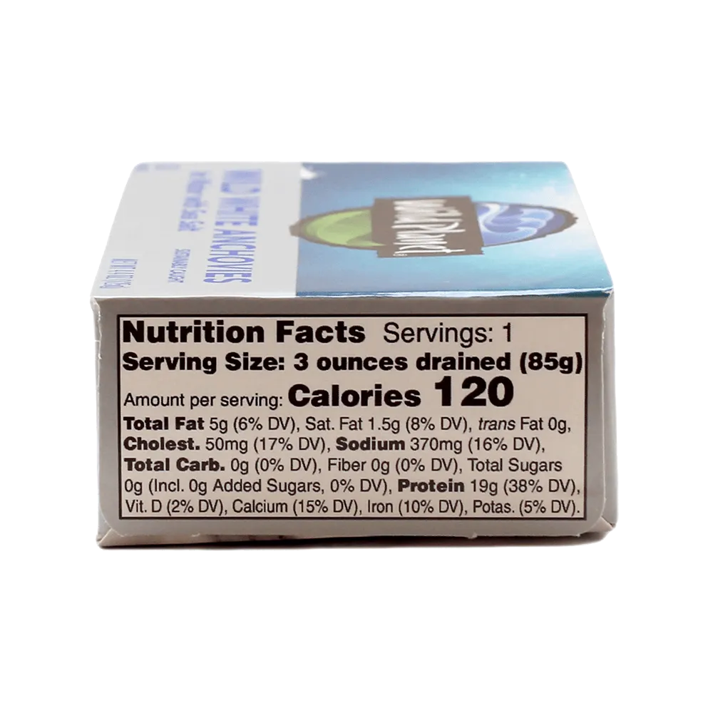 Wild White Anchovies In Water