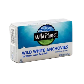 Wild White Anchovies In Water