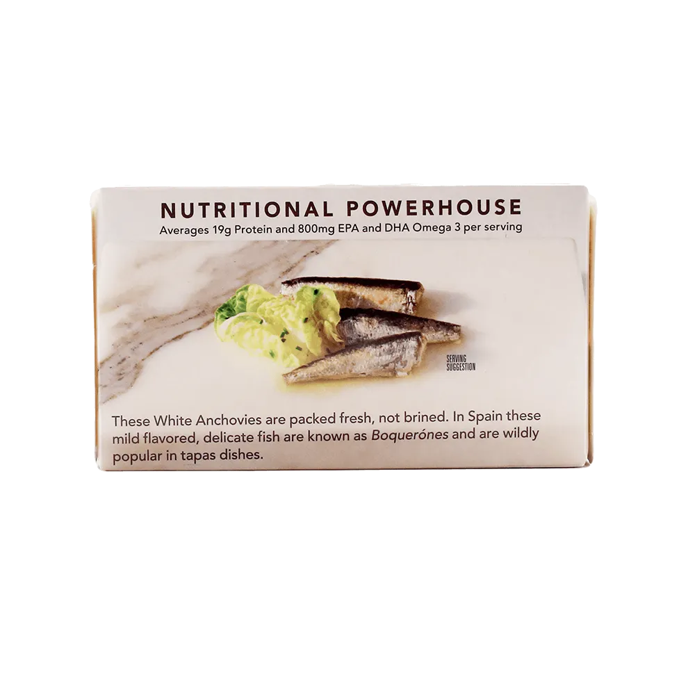 Wild White Anchovies In Water