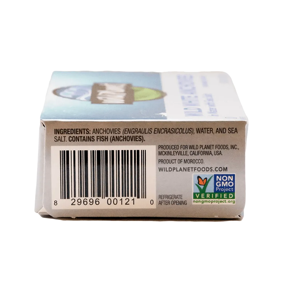 Wild White Anchovies In Water