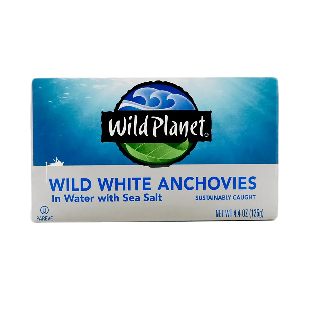 Wild White Anchovies In Water